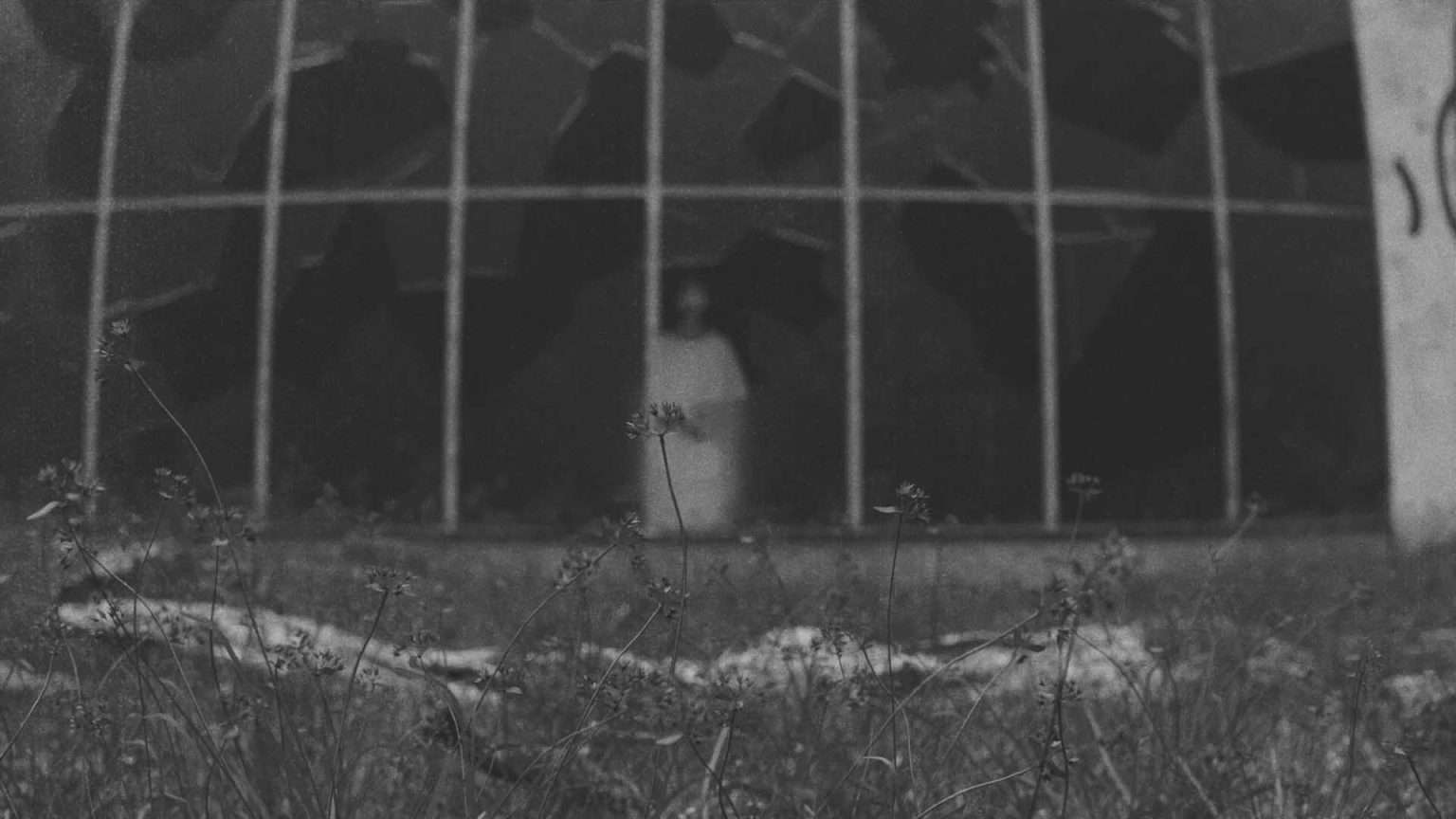 Phantom in the Ruins (3)